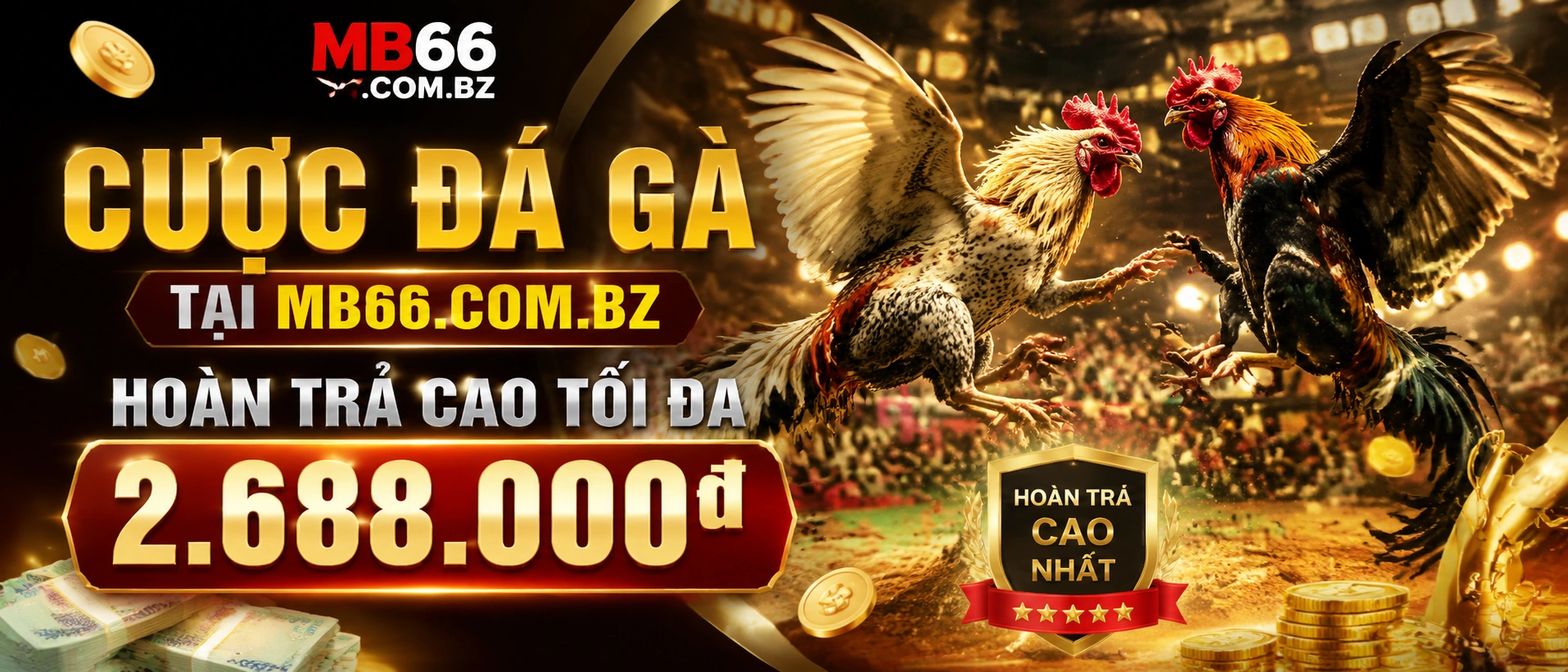 Đá Gà Trực Tiếp trên mb66.com.bz